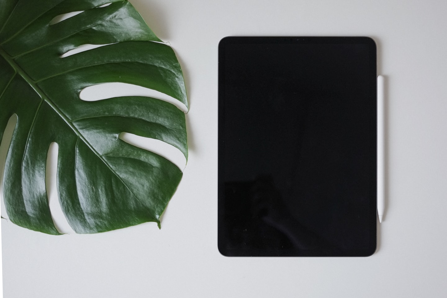 Obok dużego liścia Monstery leży tablet i rysik.